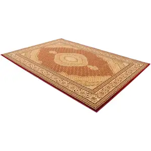 Photo of 5' Round Red and Beige Medallion Area Rug