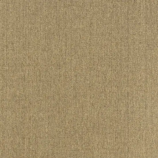 Tan Stain Resistant Indoor Outdoor Area Rug Photo 4