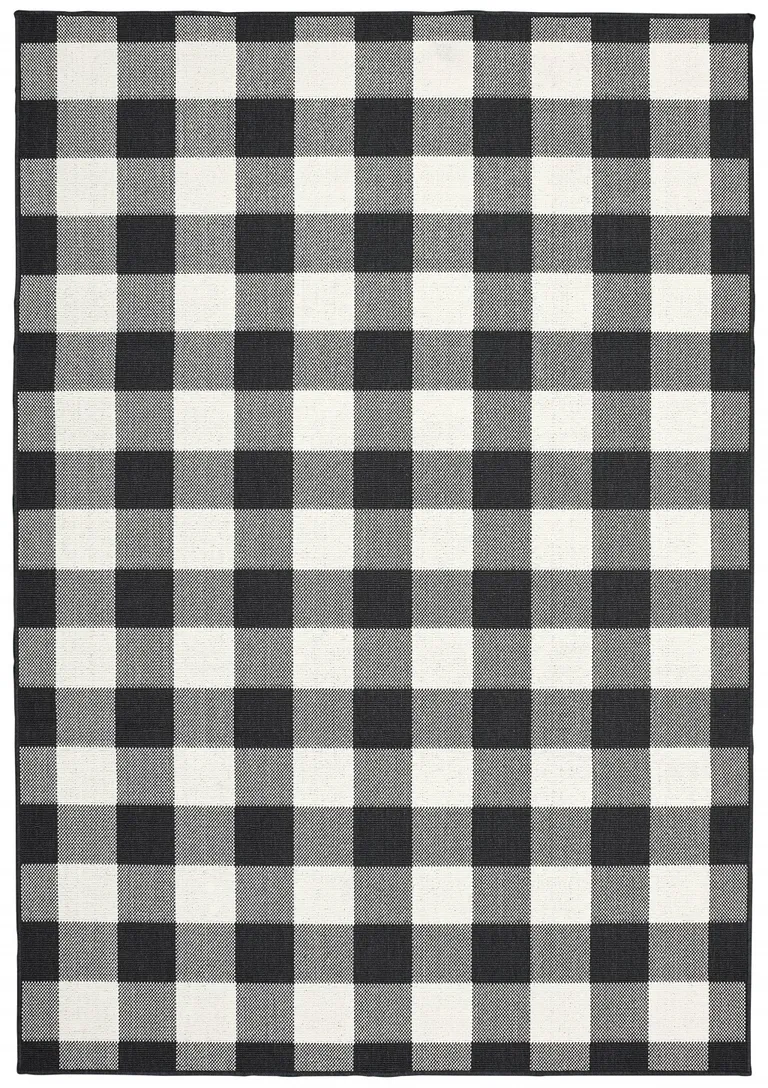 4'x6' Black and Ivory Gingham Indoor Outdoor Area Rug Photo 2