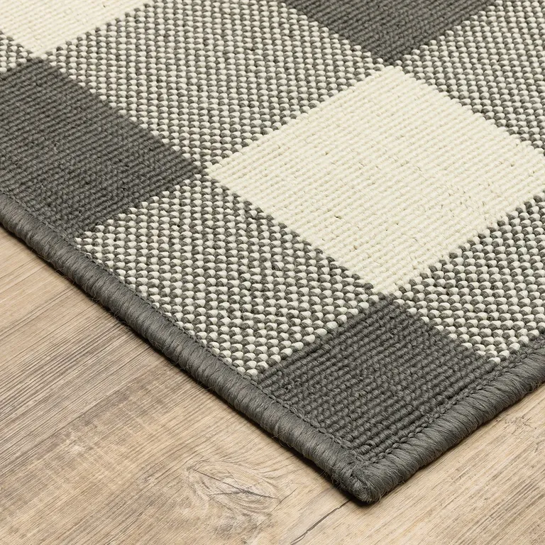 4'x6' Gray and Ivory Gingham Indoor Outdoor Area Rug Photo 2