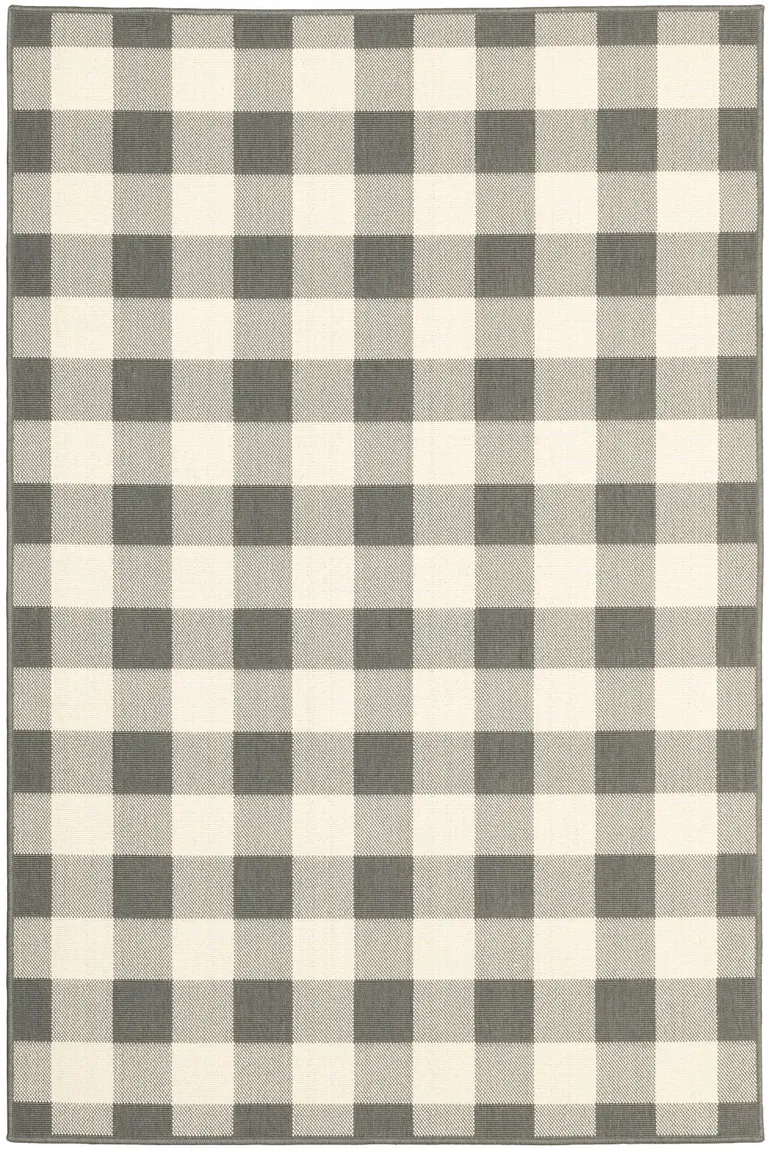 4'x6' Gray and Ivory Gingham Indoor Outdoor Area Rug Photo 1