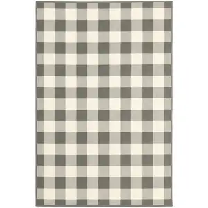 Photo of 9'x13' Gray and Ivory Gingham Indoor Outdoor Area Rug