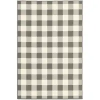 Photo of 2'x4' Gray and Ivory Gingham Indoor Outdoor Area Rug