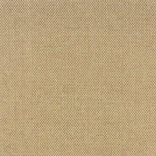 Beige Indoor Outdoor Area Rug Photo 6