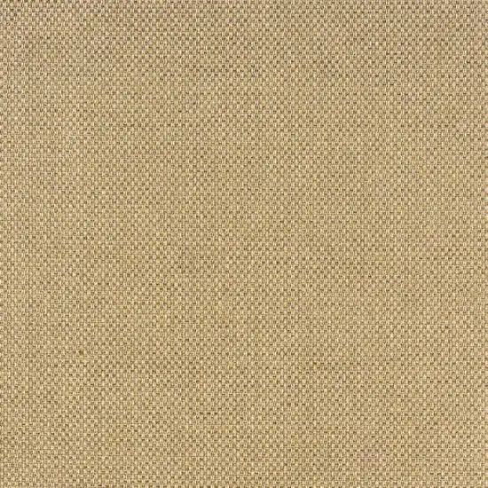 Beige Indoor Outdoor Area Rug Photo 6