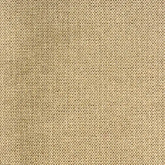 Beige Indoor Outdoor Area Rug Photo 6