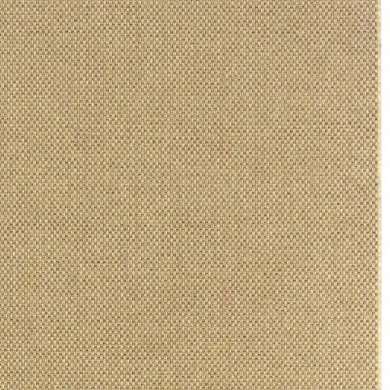 Beige Indoor Outdoor Area Rug Photo 6