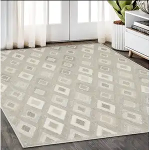 Photo of Beige And Gray Diamond Area Rug