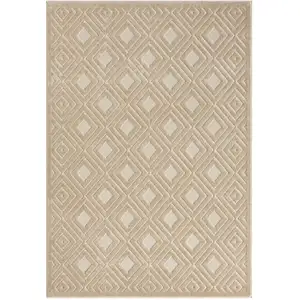 Photo of Beige Geometric Area Rug