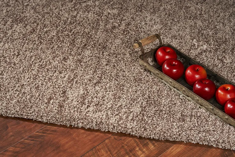 Beige Heather Indoor Shag Rug Photo 5