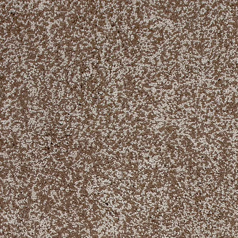 Beige Heather Indoor Shag Rug Photo 2