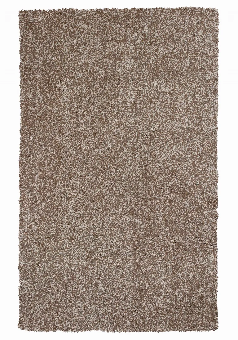 Beige Heather Indoor Shag Rug Photo 1