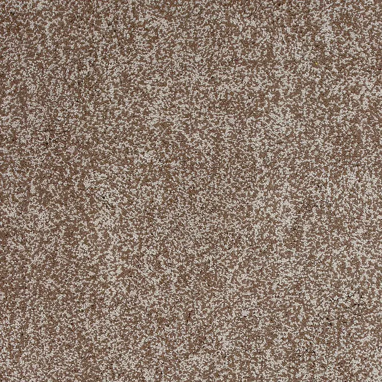 Beige Heather Indoor Shag Rug Photo 3