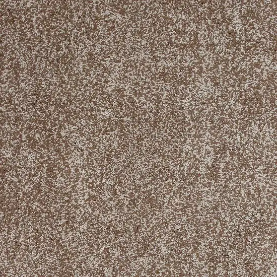 Beige Heather Indoor Shag Rug Photo 3