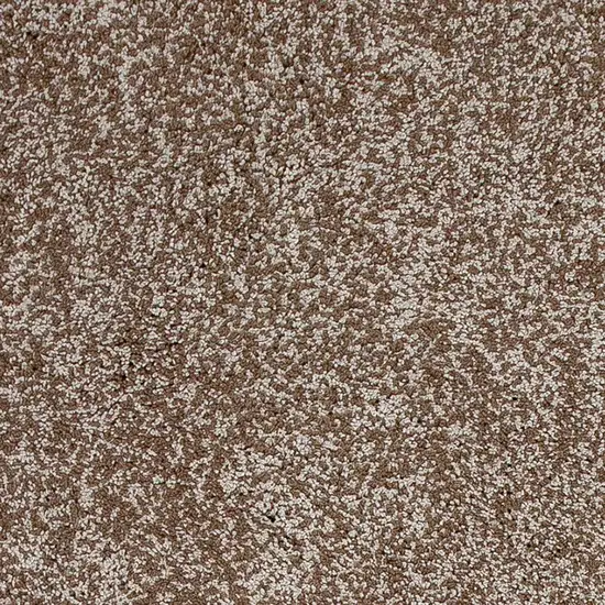 Beige Heather Indoor Shag Rug Photo 2