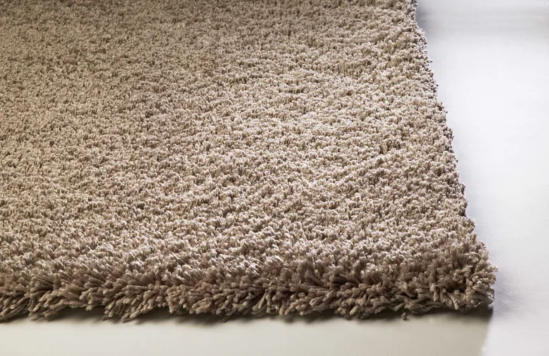 Beige Heather Indoor Shag Rug Photo 5