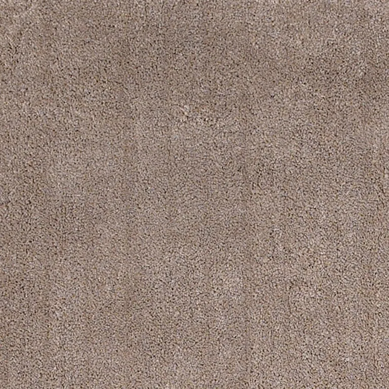 Beige Heather Indoor Shag Rug Photo 2