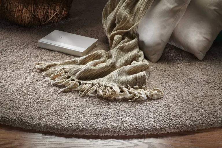 Beige Heather Indoor Shag Rug Photo 4