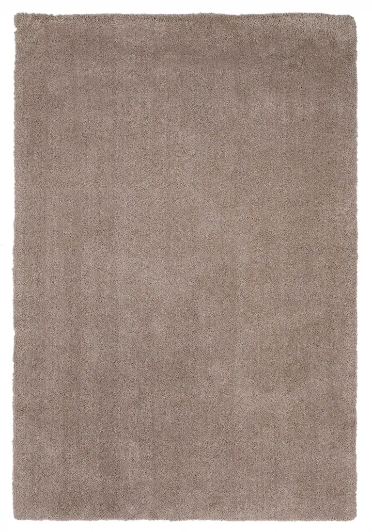 Beige Heather Indoor Shag Rug Photo 1