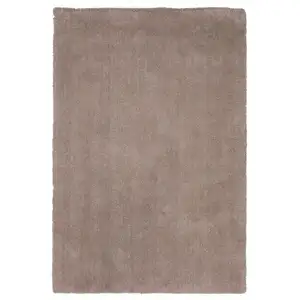 Photo of Beige Heather Indoor Shag Rug