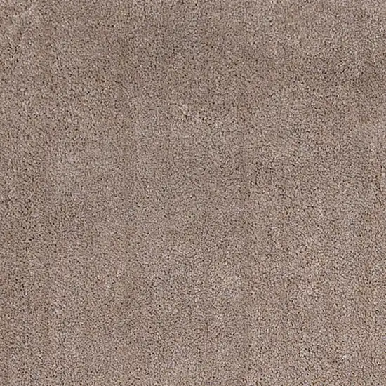 Beige Indoor Shag Rug Photo 2