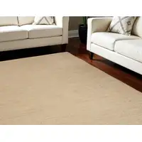 Photo of Beige Jute Hand Woven Area Rug