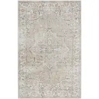 Photo of Beige Oriental Power Loom Washable Area Rug