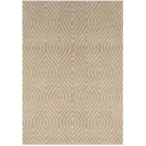 Photo of Beige Trellis Area Rug