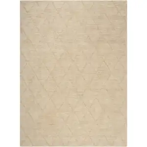 Photo of Beige Wool Geometric Area Rug