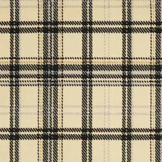 Beige and Black Plaid Power Loom Area Rug Photo 5