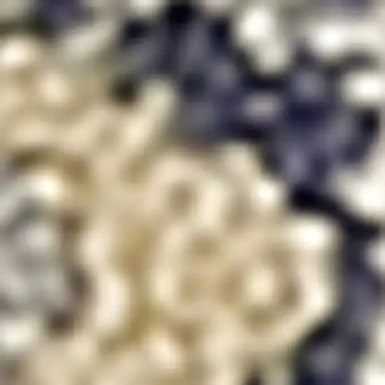 Beige And Blue Floral Area Rug Photo 9