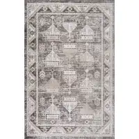 Photo of Beige and Brown Abstract Distressed Area Rug