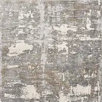 Photo of Beige and Gray Distressed Area Rug