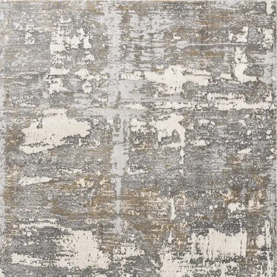 Beige and Gray Distressed Area Rug Photo 1