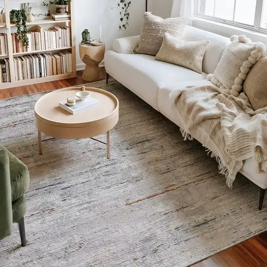 Beige and Gray Distressed Area Rug Photo 8