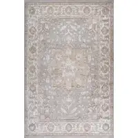 Photo of Beige and Gray Oriental Distressed Area Rug