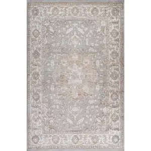 Photo of Beige and Gray Oriental Distressed Area Rug