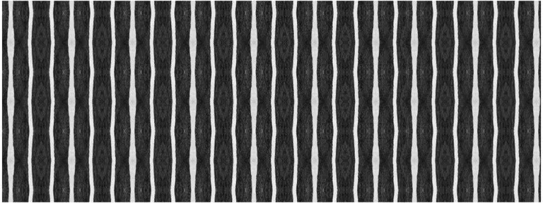 Black And White Modern Stripe Printed Vinyl Area Rug with UV Protection Photo 1