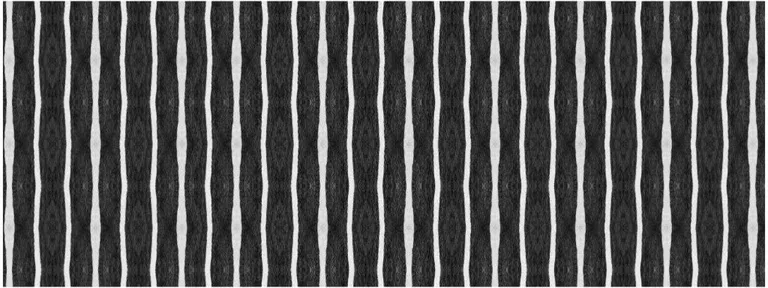 Black And White Modern Stripe Printed Vinyl Area Rug with UV Protection Photo 2