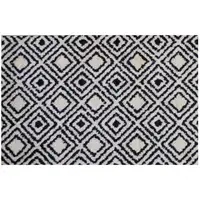 Photo of Black Diamond Washable Floor Mat