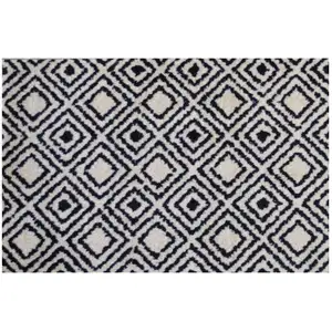 Photo of Black Diamond Washable Floor Mat