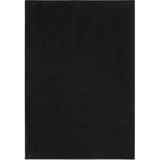 Black Stain Resistant Indoor Outdoor Area Rug Photo 3