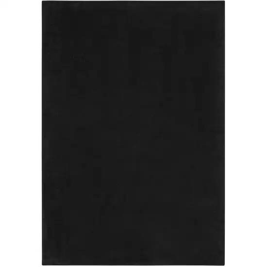 Black Stain Resistant Indoor Outdoor Area Rug Photo 2