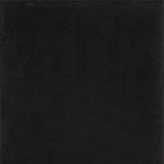 Black Non Skid Indoor Outdoor Area Rug Photo 4