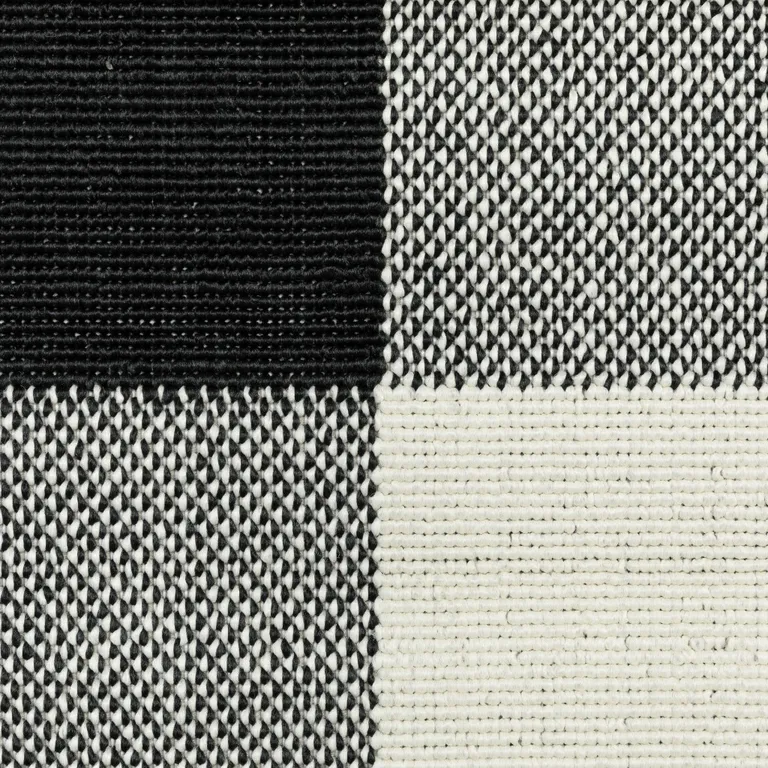 Black and Ivory Gingham Indoor Outdoor Area Rug Photo 4