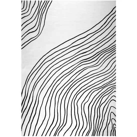 Black and White Abstract Area Rug Photo 2