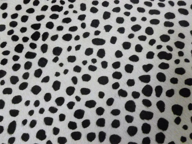 Black and White Cheetah Stenciled Cowhide Rug Photo 2