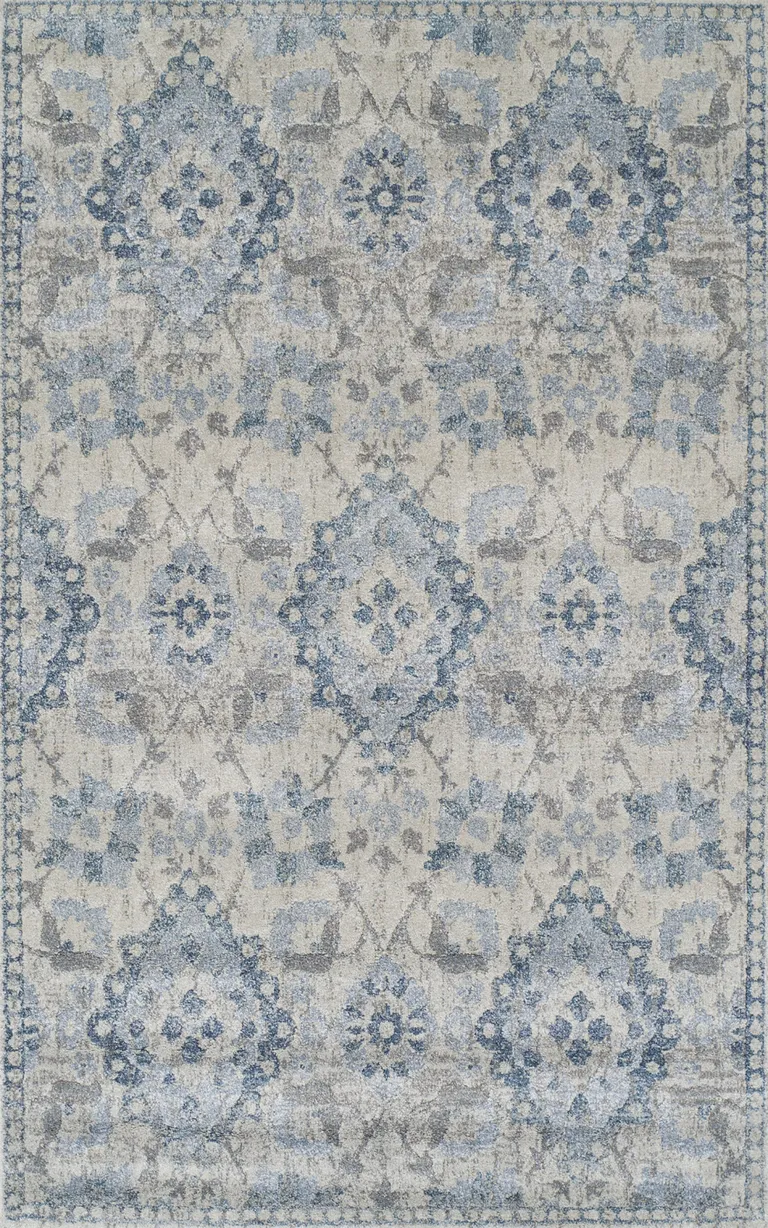 Blue Oriental Area Rug Photo 1