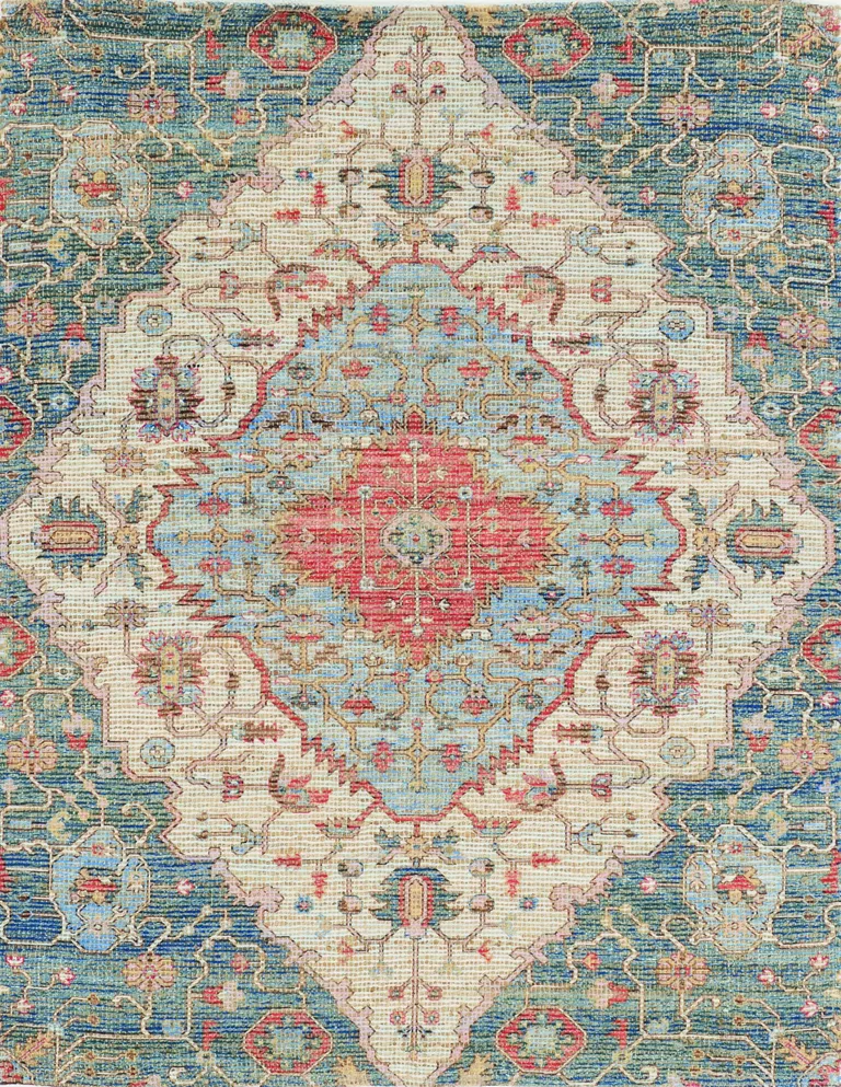 Blue Red Hand Woven Traditional Medallion Indoor Area Rug Photo 1