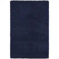 Photo of Blue Shag Area Rug